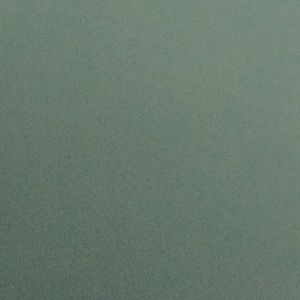 Meet your Posher, Ashli